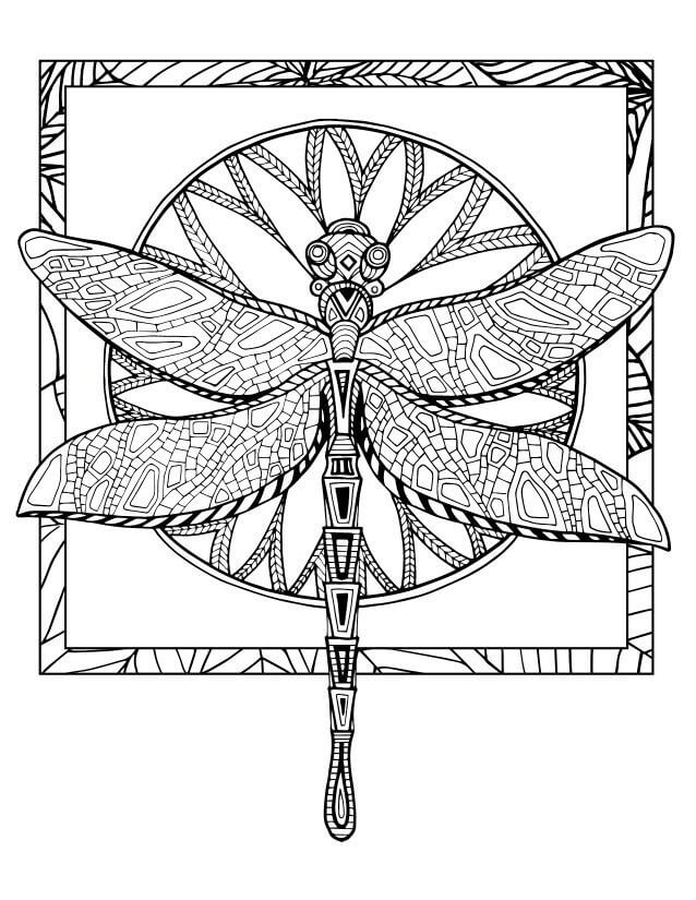 88 Dragonfly Coloring Pages Printable 72