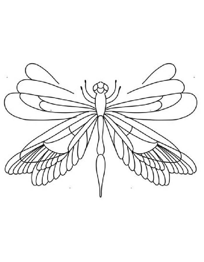 88 Dragonfly Coloring Pages Printable 77