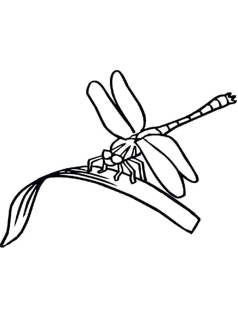 88 Dragonfly Coloring Pages Printable 81