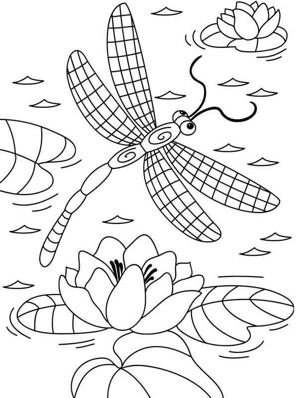 88 Dragonfly Coloring Pages Printable 82