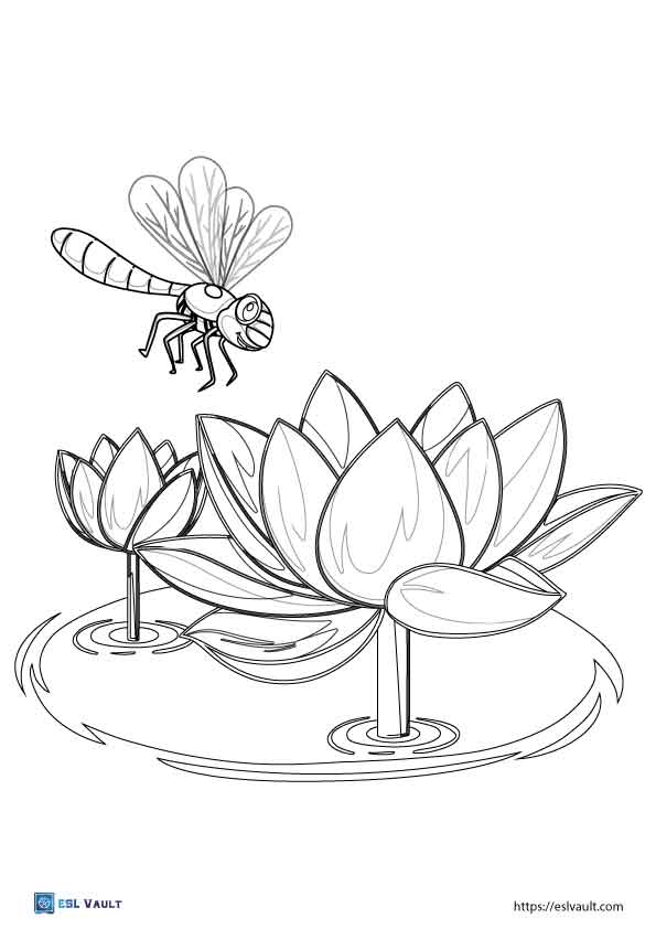 88 Dragonfly Coloring Pages Printable 84