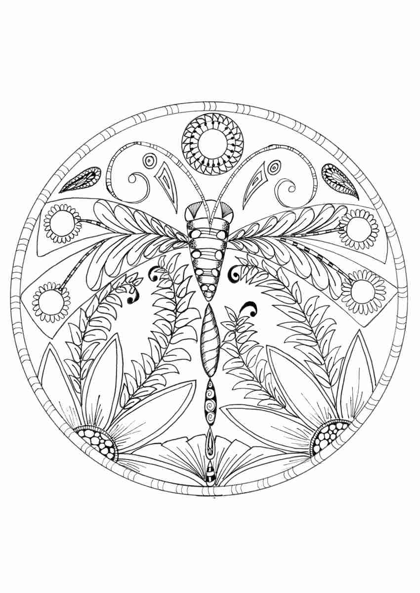 88 Dragonfly Coloring Pages Printable 9