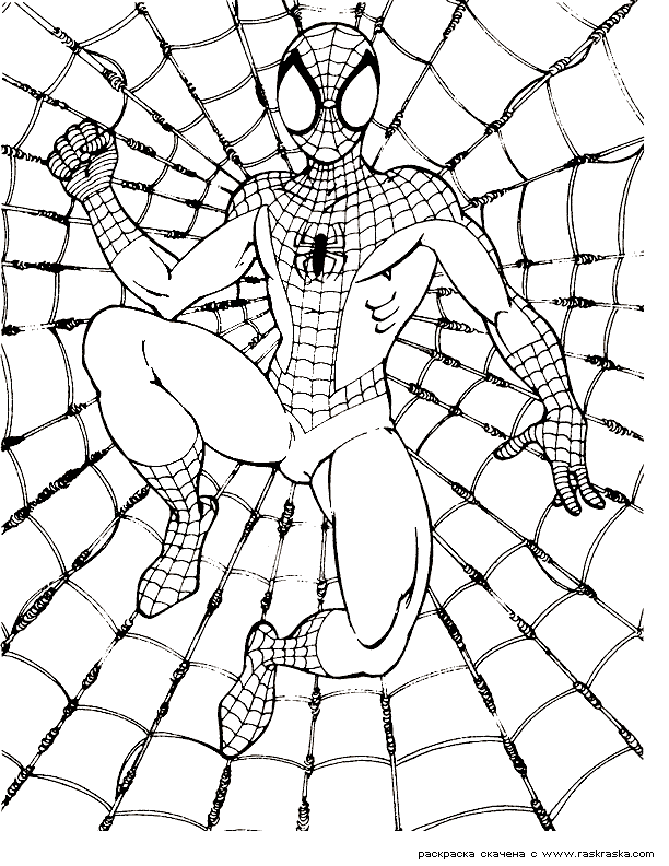 All New Amazing Spiderman Coloring Pages for Printable 11