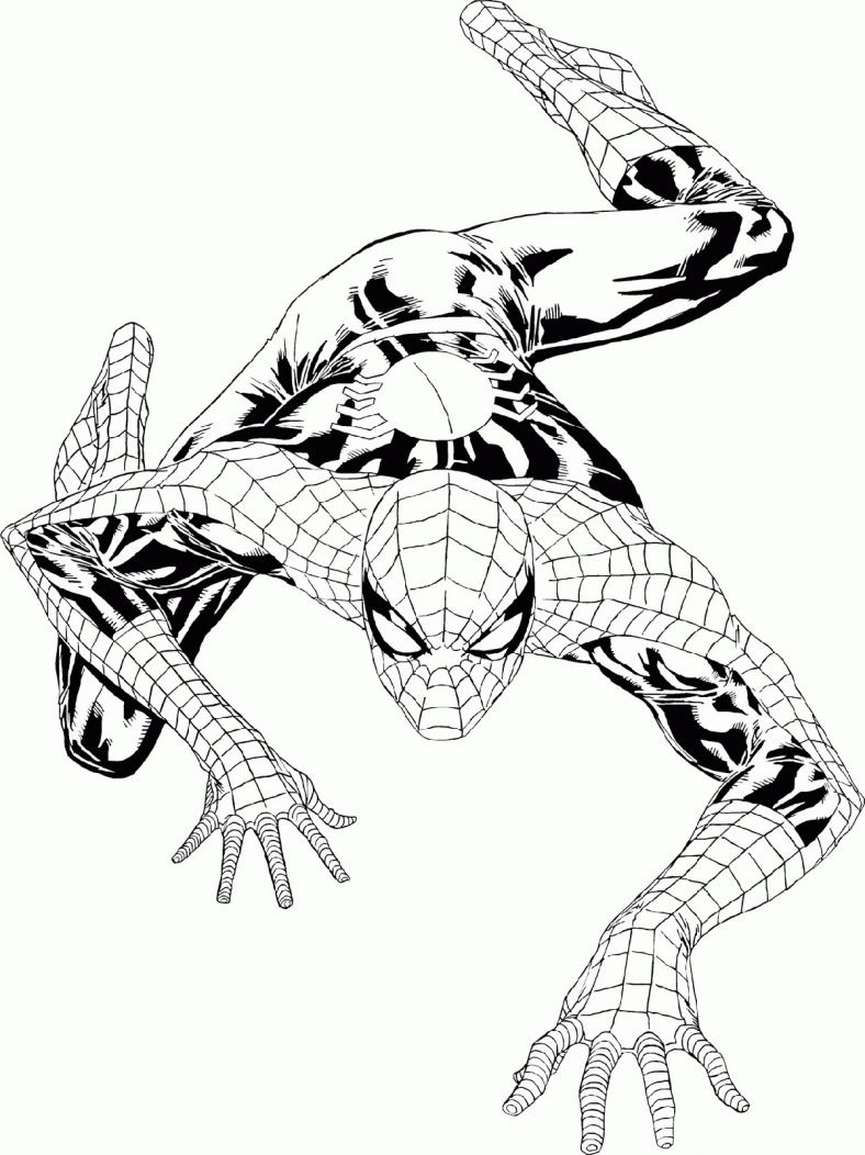 All New Amazing Spiderman Coloring Pages for Printable 2