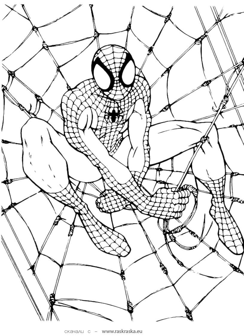 All New Amazing Spiderman Coloring Pages for Printable 28