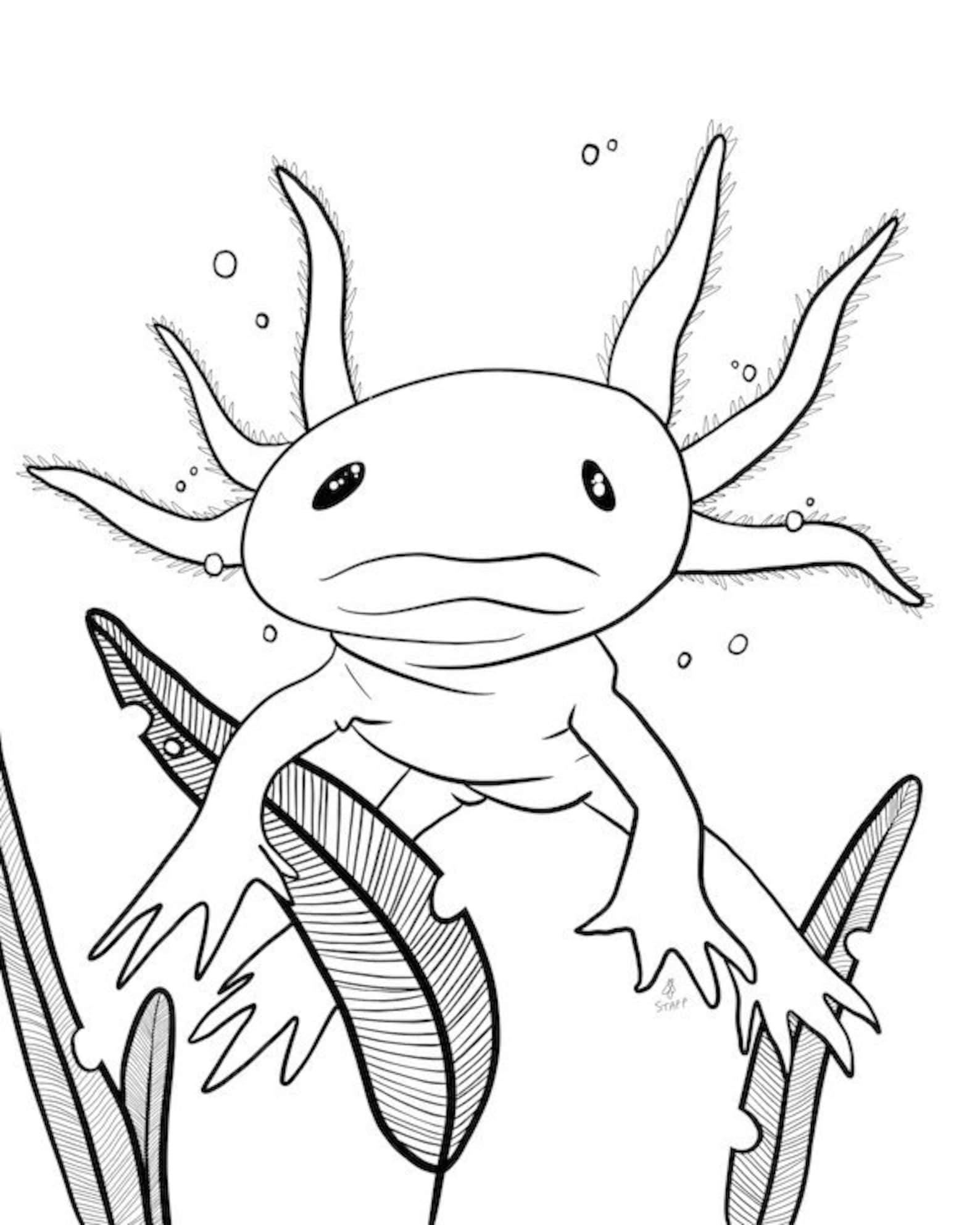 Cool Printable Axolotl Coloring Pages 13