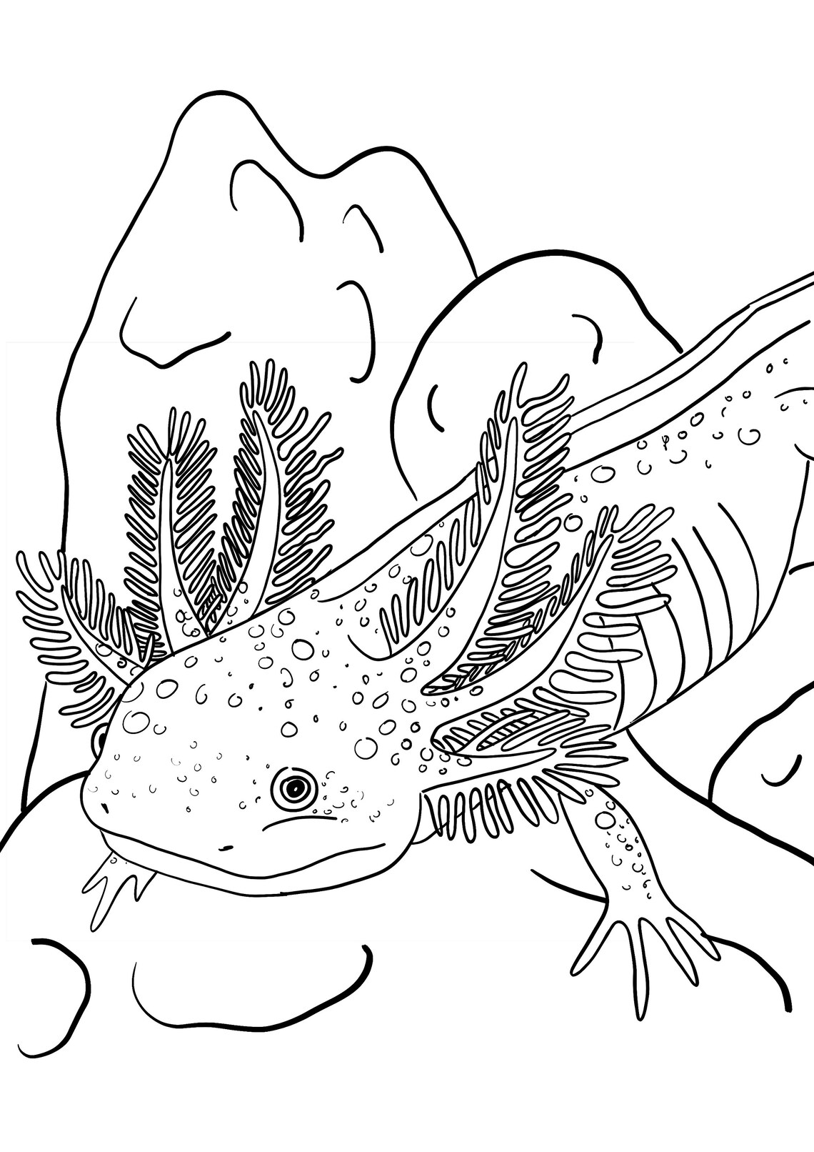 Cool Printable Axolotl Coloring Pages 14