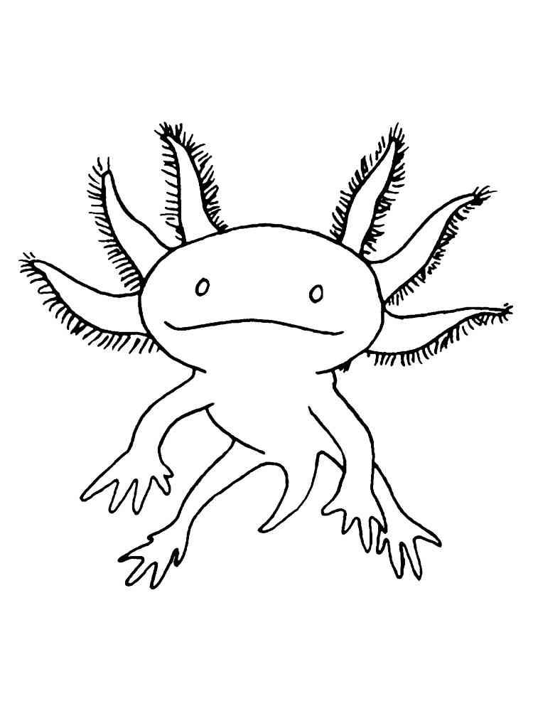 Cool Printable Axolotl Coloring Pages 26