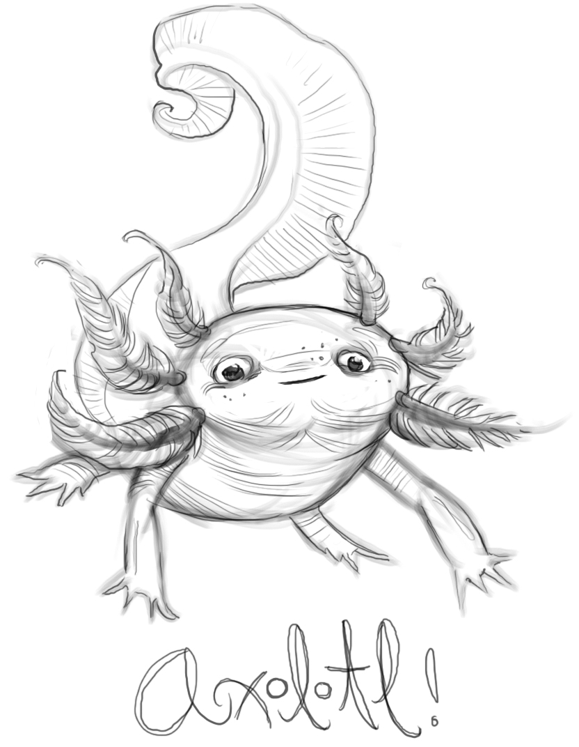 Cool Printable Axolotl Coloring Pages 6