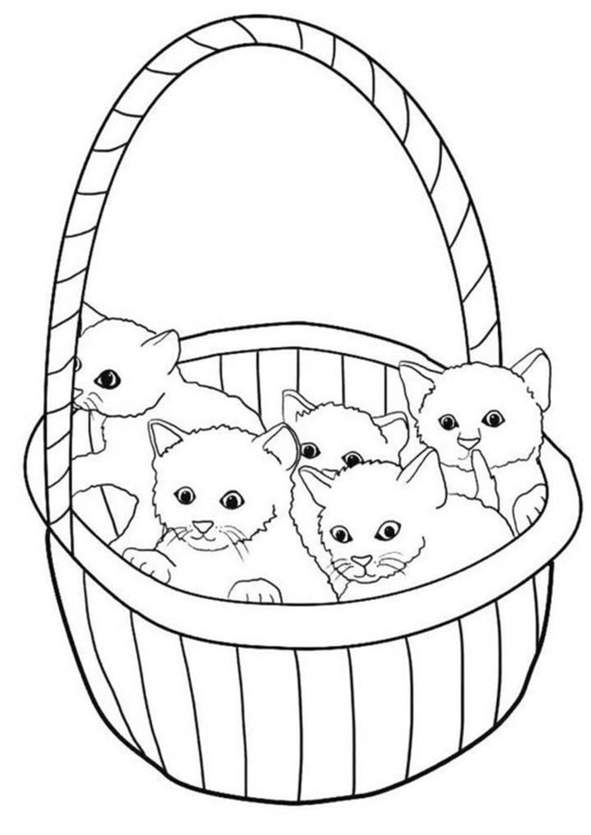 Cute Animals Coloring Pages Printable Joy 23