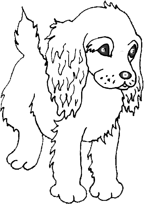 Cute Animals Coloring Pages Printable Joy 24