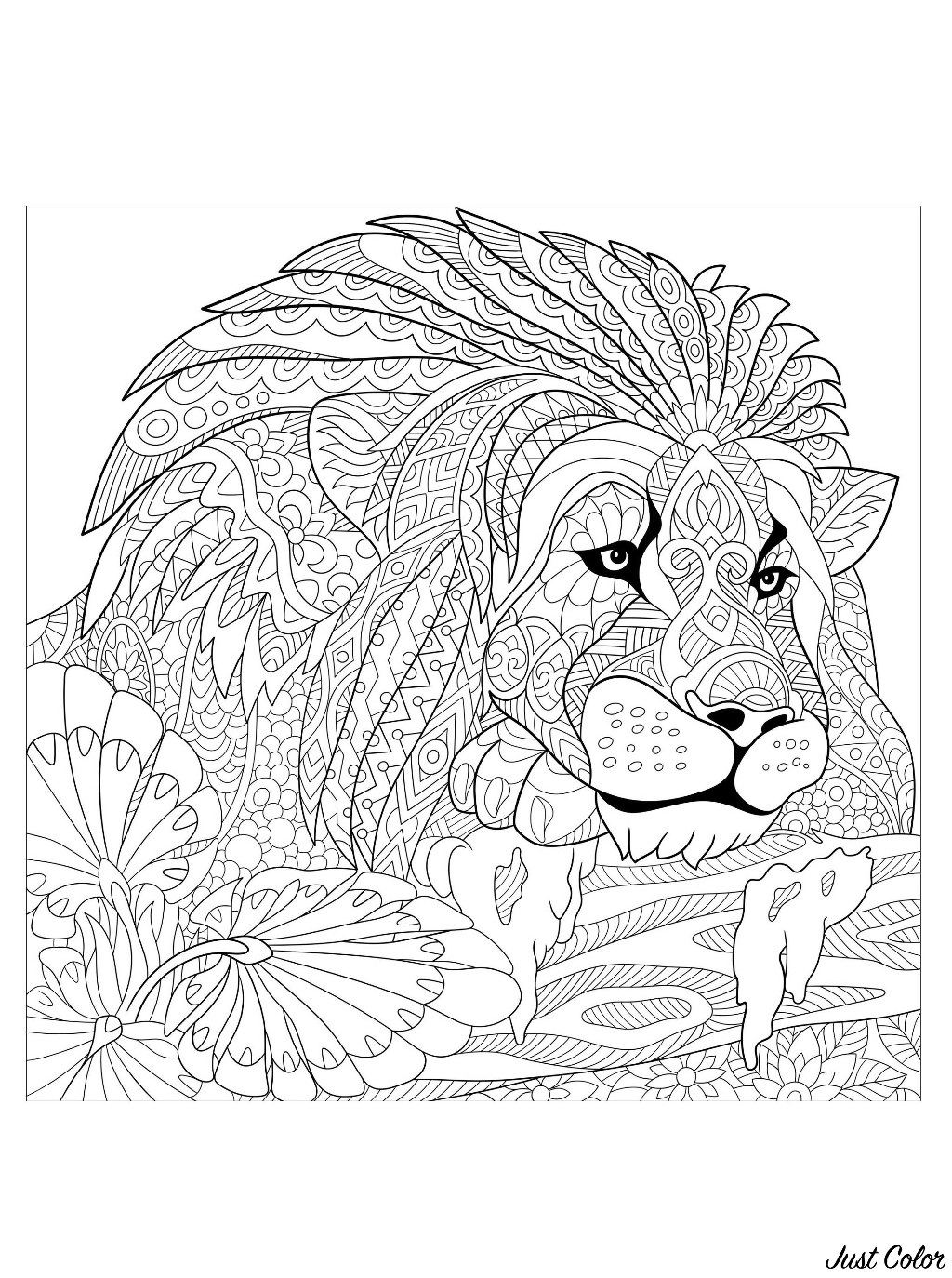 Majestic Lion Coloring Pages Printable 30