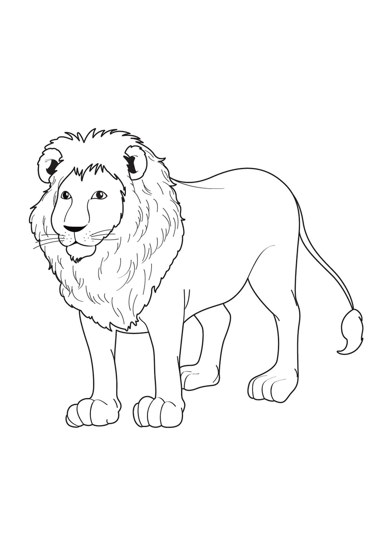 Majestic Lion Coloring Pages Printable 6