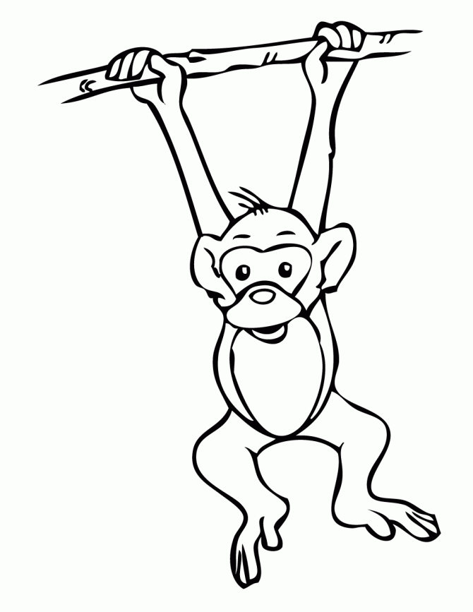 Playful Monkey Coloring Pages Printable 12