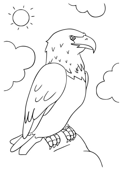 Proud Bald Eagle Coloring Pages Printable 16