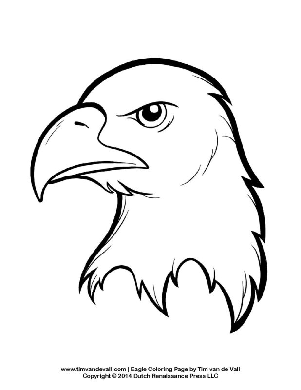 Proud Bald Eagle Coloring Pages Printable 2