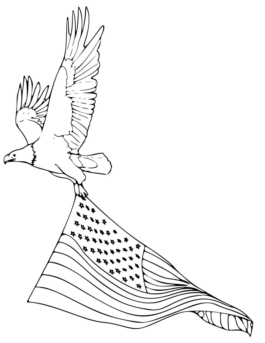 Proud Bald Eagle Coloring Pages Printable 20