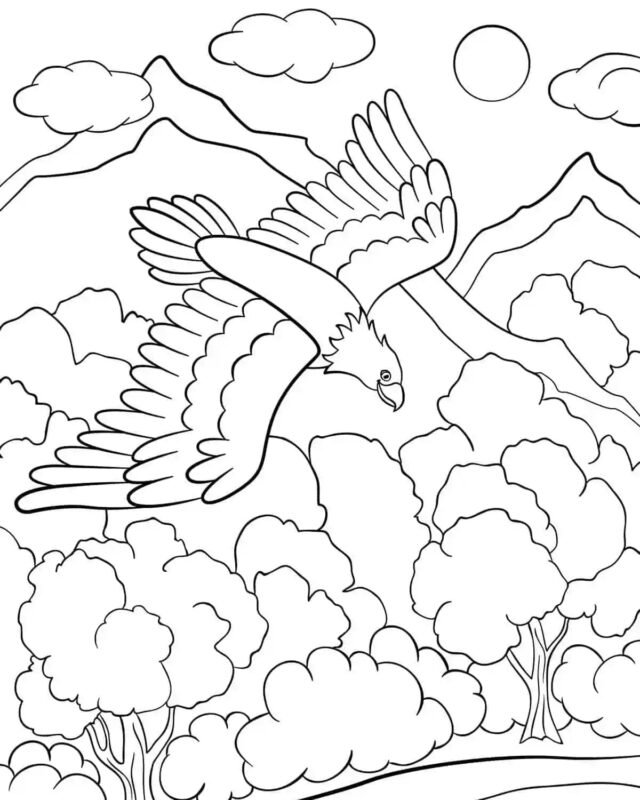 Proud Bald Eagle Coloring Pages Printable 23