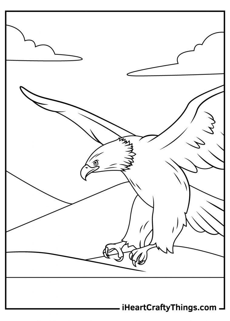 Proud Bald Eagle Coloring Pages Printable 24