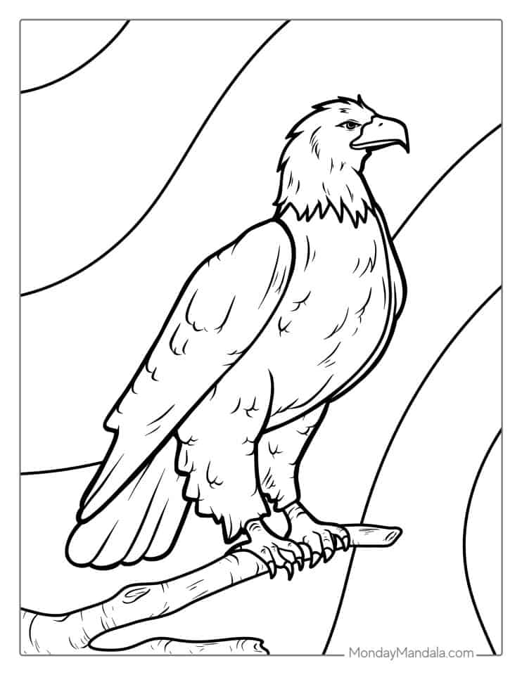 Proud Bald Eagle Coloring Pages Printable 28