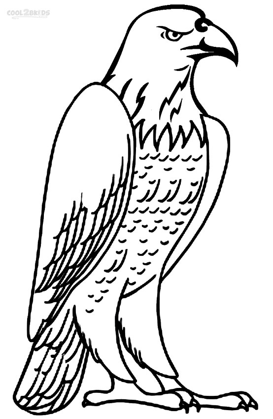 Proud Bald Eagle Coloring Pages Printable 29