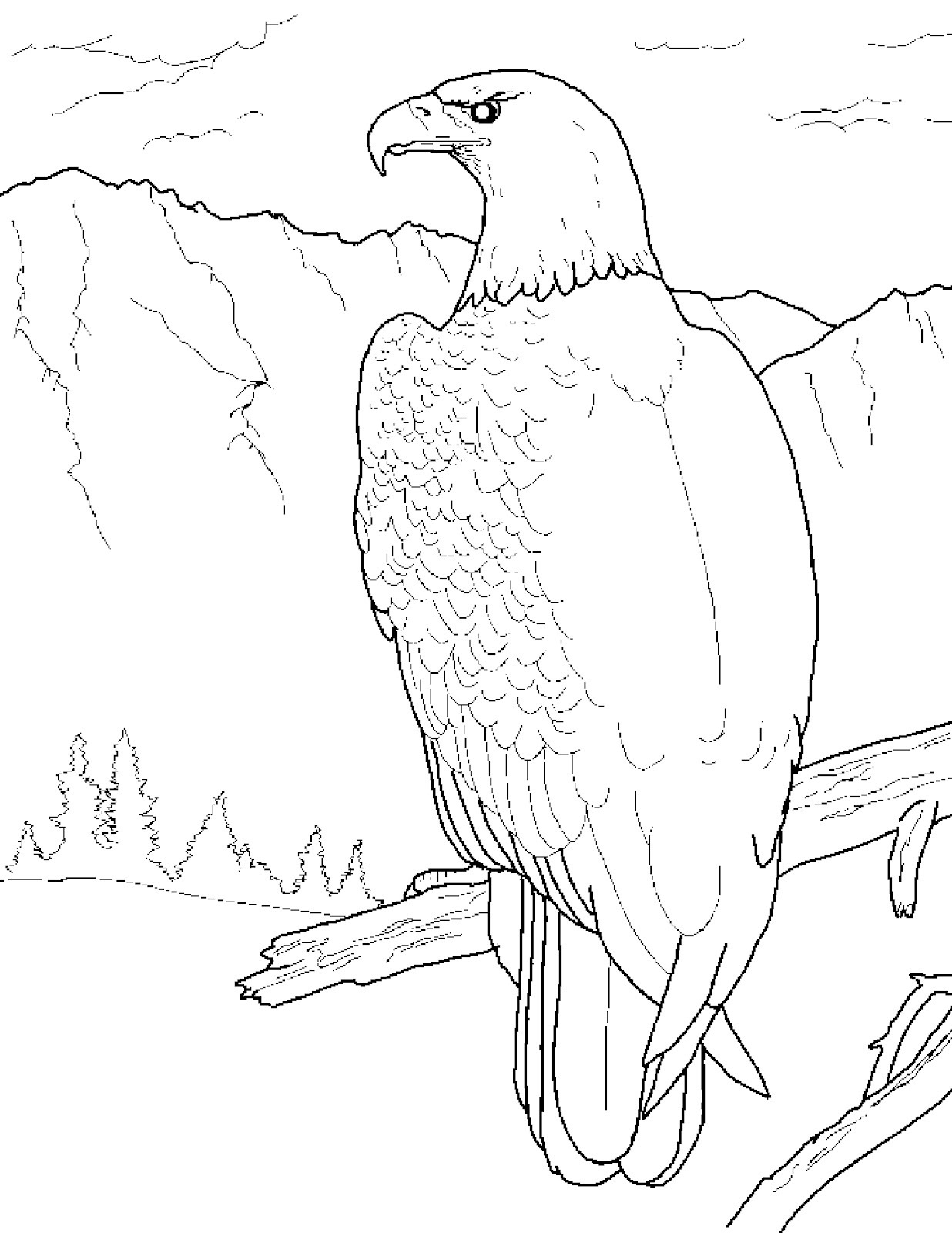 Proud Bald Eagle Coloring Pages Printable 3