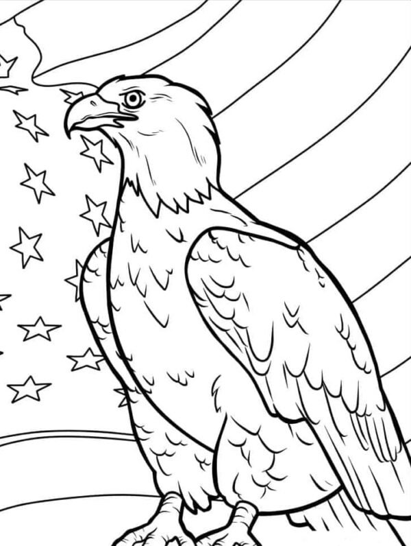 Proud Bald Eagle Coloring Pages Printable 31