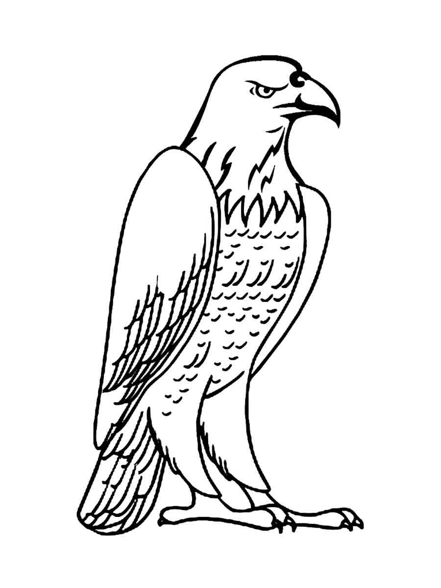 Proud Bald Eagle Coloring Pages Printable 4