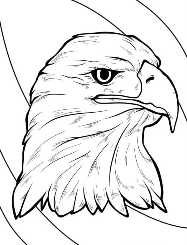 Proud Bald Eagle Coloring Pages Printable 8