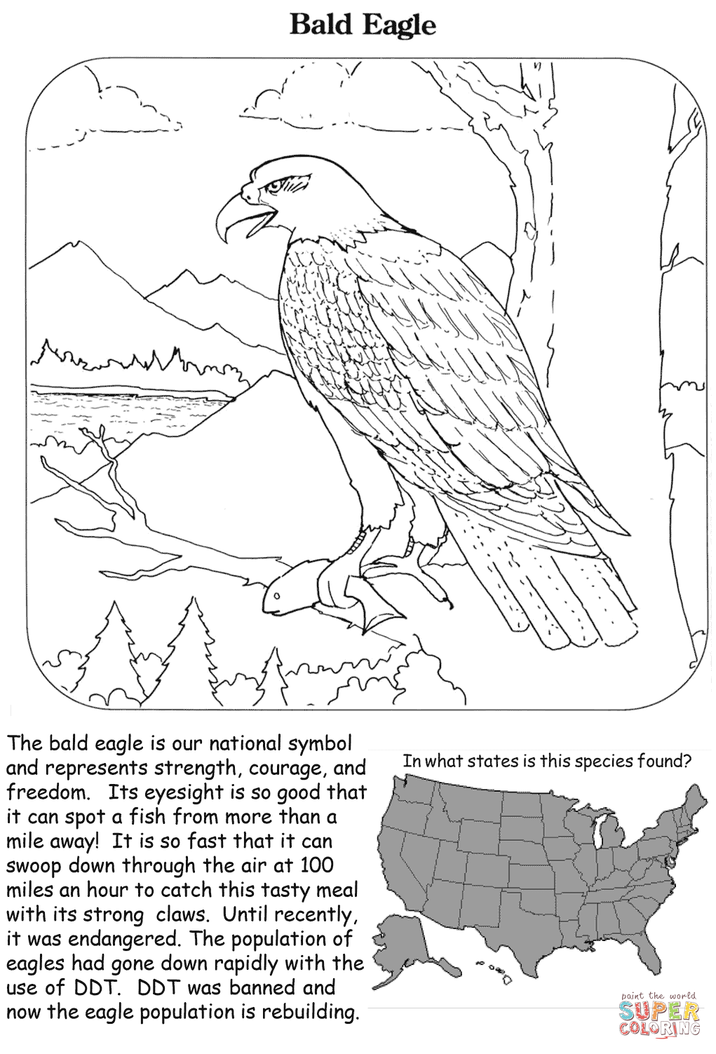 Proud Bald Eagle Coloring Pages Printable 9