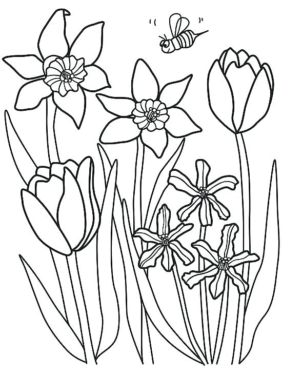 Refreshing Spring Coloring Pages Printable 11