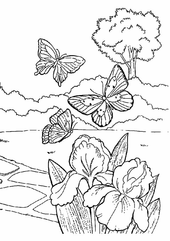 Refreshing Spring Coloring Pages Printable 18