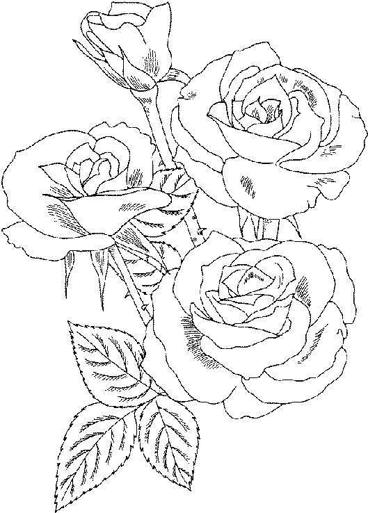 Romantic Rose Coloring Pages Printable 18