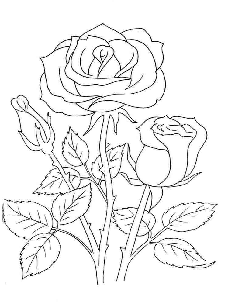 Romantic Rose Coloring Pages Printable 29