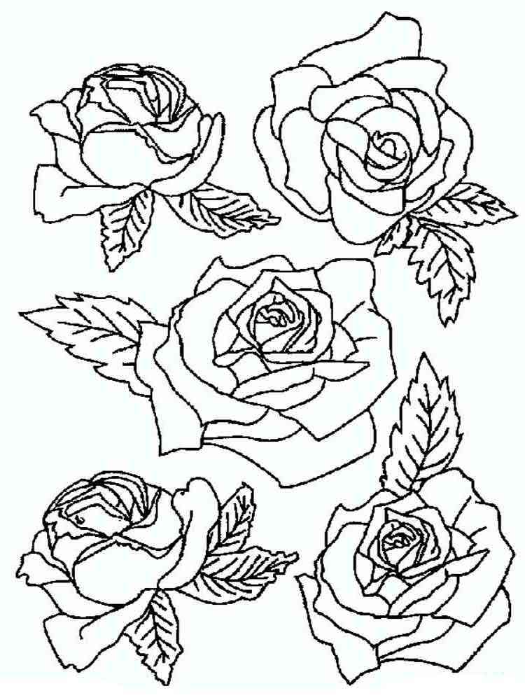 Romantic Rose Coloring Pages Printable 35