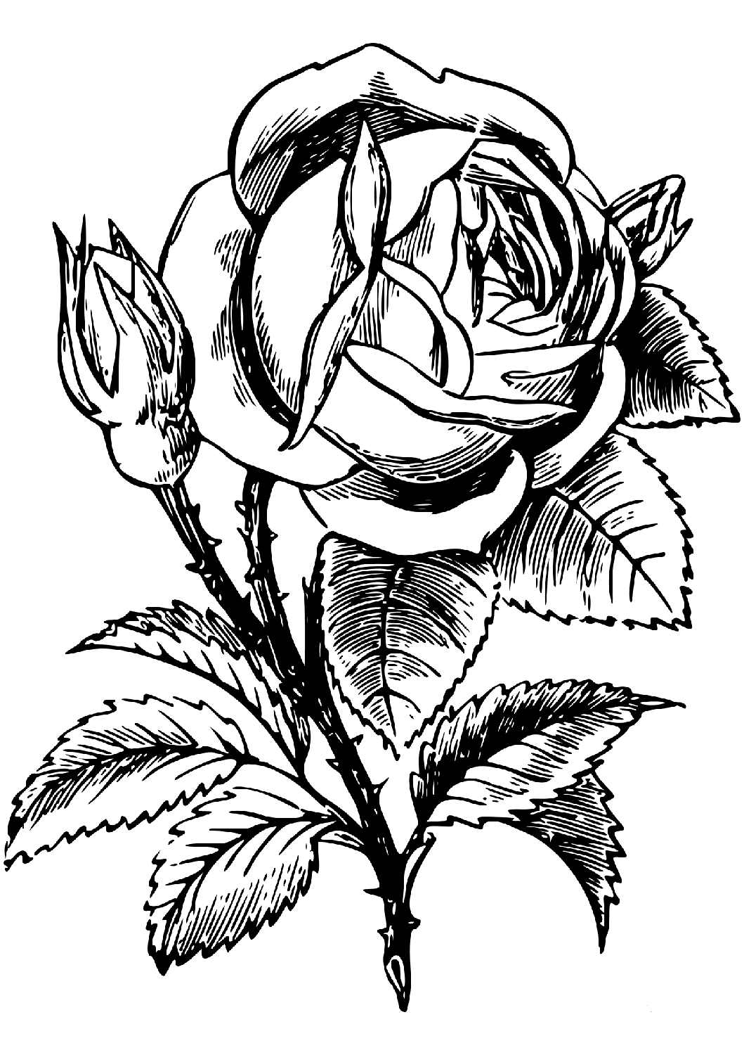 Romantic Rose Coloring Pages Printable 9