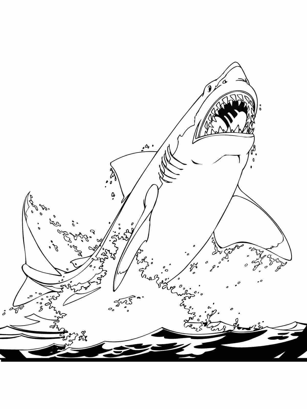 29 Massive Whale Shark Coloring Page Printable 10