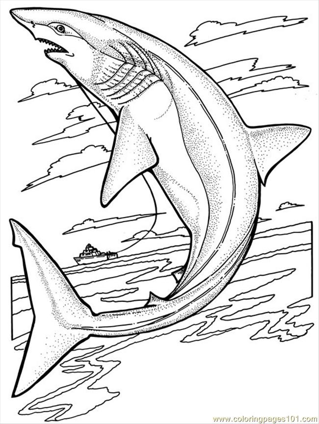 29 Massive Whale Shark Coloring Page Printable 14