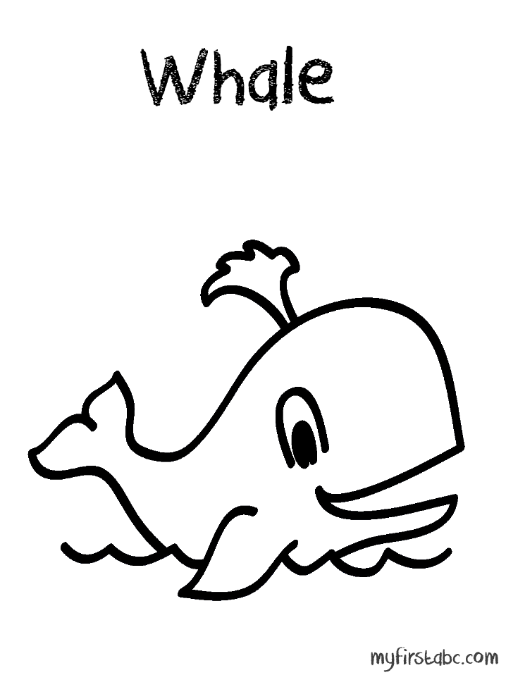 29 Massive Whale Shark Coloring Page Printable 17