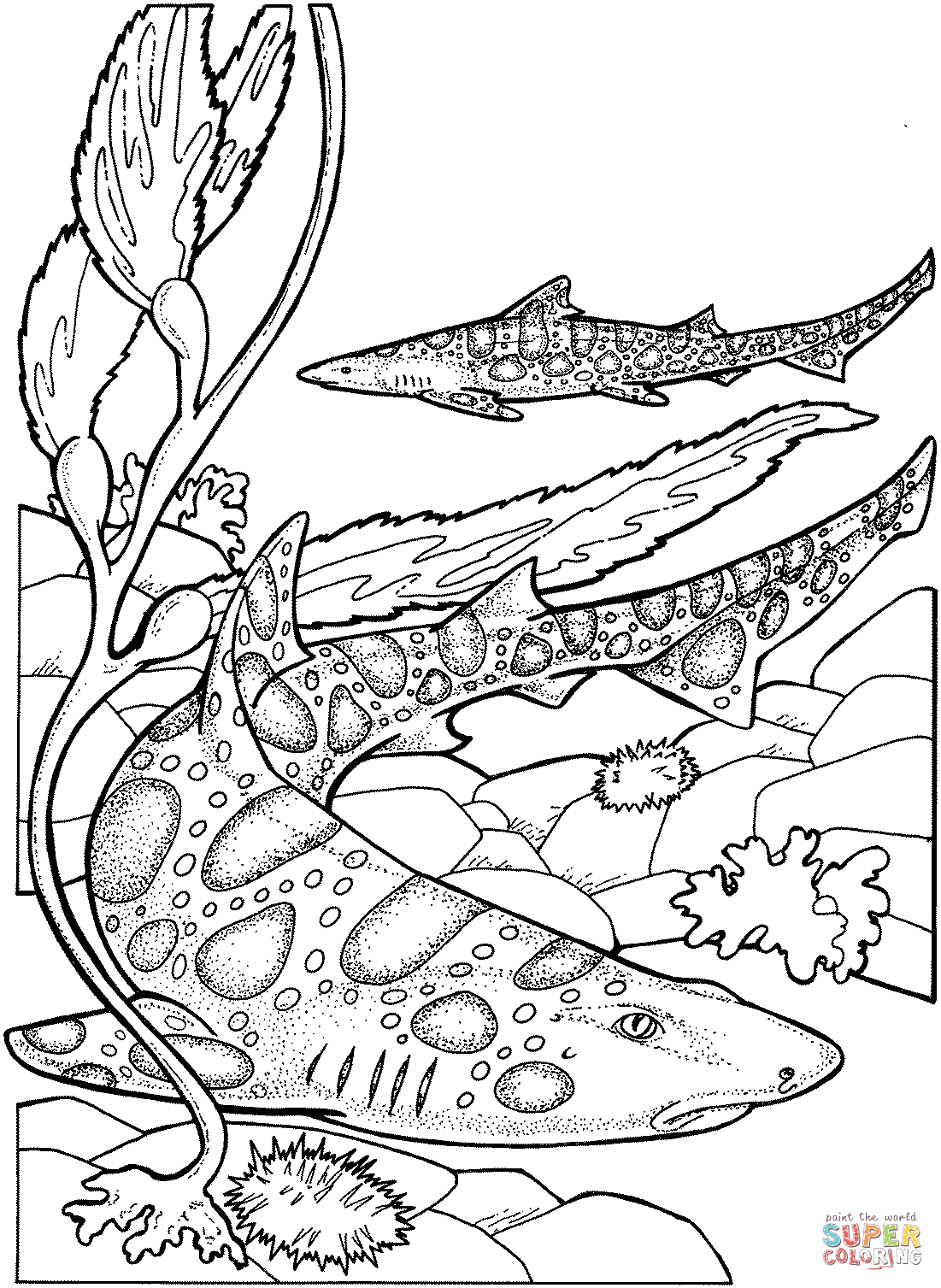 29 Massive Whale Shark Coloring Page Printable 20