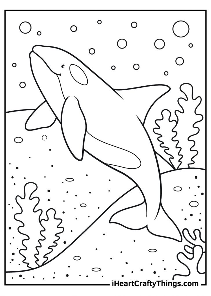 29 Massive Whale Shark Coloring Page Printable 22