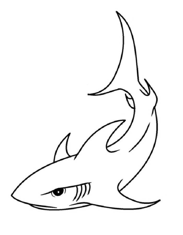 29 Massive Whale Shark Coloring Page Printable 27