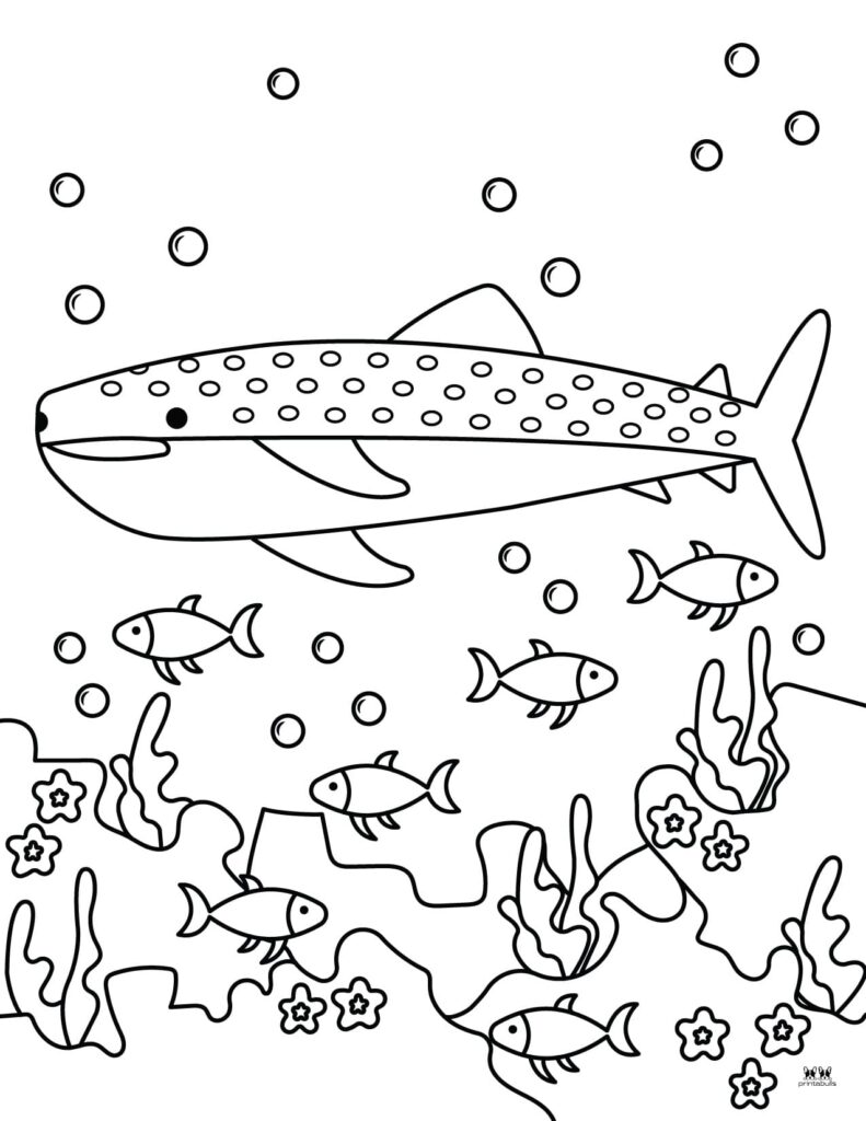 29 Massive Whale Shark Coloring Page Printable 31