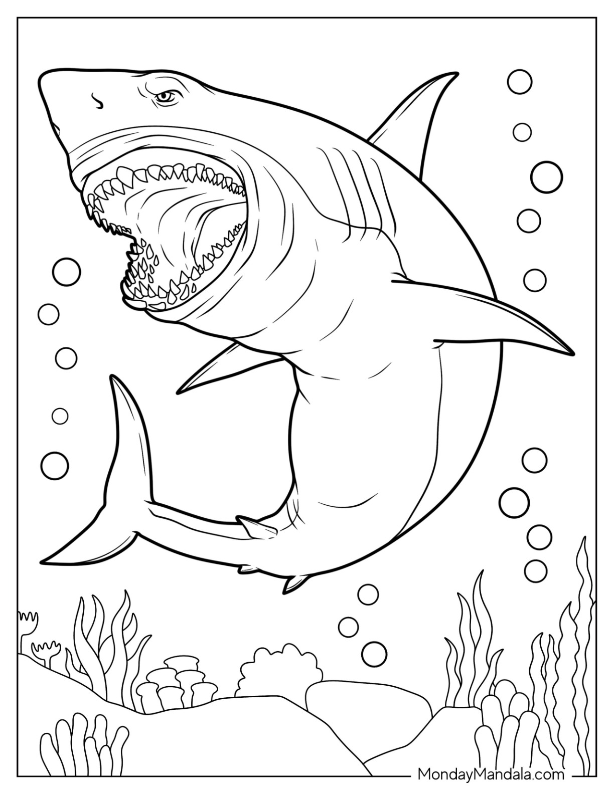 29 Massive Whale Shark Coloring Page Printable 33