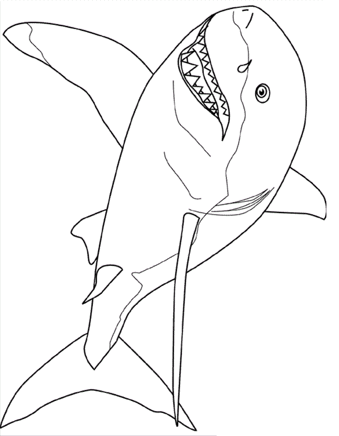 29 Massive Whale Shark Coloring Page Printable 34