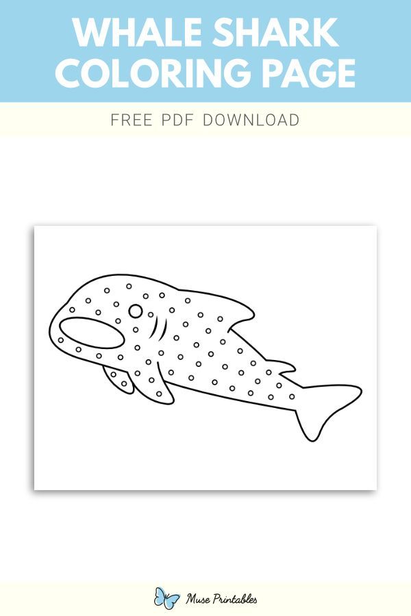 29 Massive Whale Shark Coloring Page Printable 4