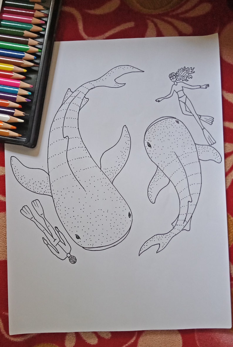 29 Massive Whale Shark Coloring Page Printable 6