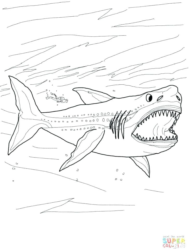 29 Massive Whale Shark Coloring Page Printable 7