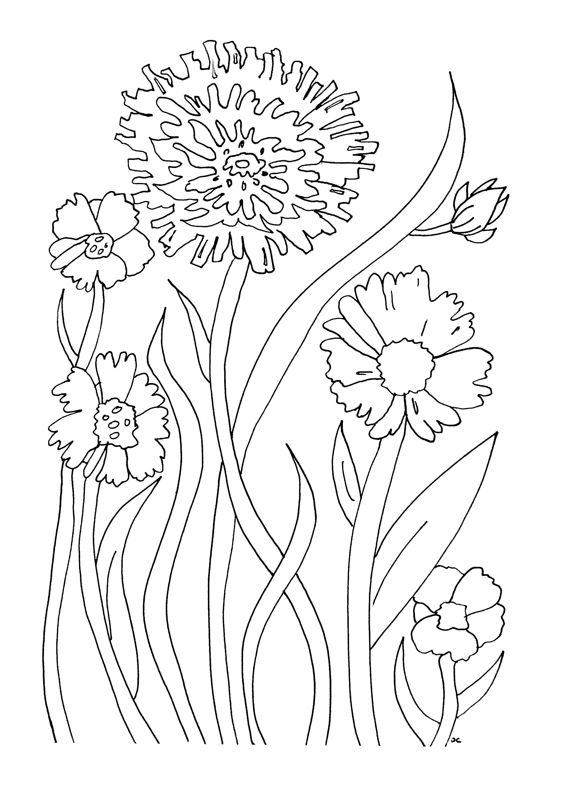 30 Elegant Flower Coloring Pages for Adults Printable 11