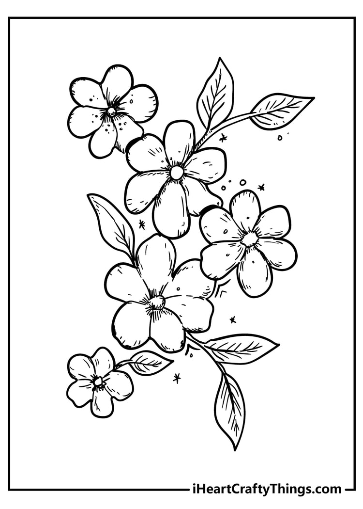 30 Elegant Flower Coloring Pages for Adults Printable 15